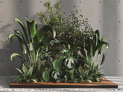 Lush Green Plants On Wooden Tray Against Gray Wall With Monstera Ferns And Large Leaves 3d model