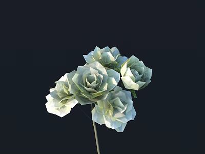 Light Green Roses Bouquet With Several Fresh Blooms Against Black Background 3d model