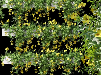 Lush Bonsai Potted Plant With Vibrant Yellow Flowers And Green Vines Against Black Background 3d model
