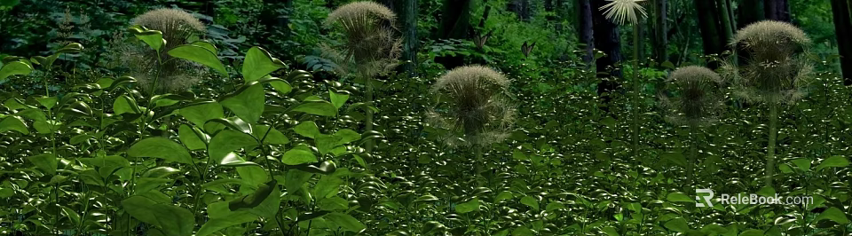 Lush Green Leaves Surrounding Fluffy Dandelion Seed Heads With Butterflies 3d model 