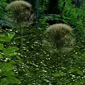 Lush Green Leaves Surrounding Fluffy Dandelion Seed Heads With Butterflies