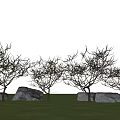 Natural Plant Combination with Leafless Trees Large Rocks and Green Grass Under Blue Sky