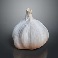 Fresh Whole Garlic Vegetable Bulb with Natural Layers on Dark Gray Background