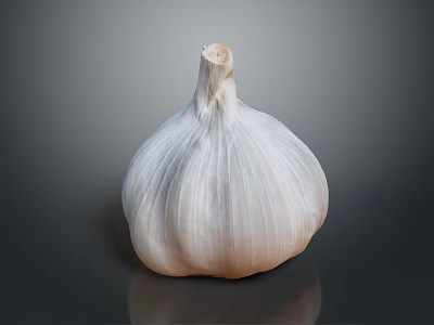 Fresh Whole Garlic Vegetable Bulb with Natural Layers on Dark Gray Background 3d model