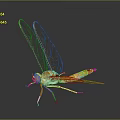 Vibrant Dragonfly With Yellow Brown Body Transparent Wings Red Eyes On Dark Background With Reflection