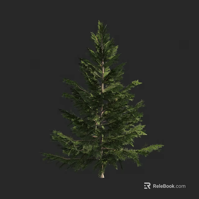 Tall Evergreen Arbor With Dense Green Foliage Against Dark Background 3d model 