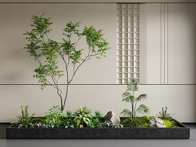 Plant Combination In Black Planter Box With Small Tree Succulents Stones And Light Wall Grid 3d model