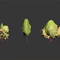 Low Poly Green And Yellow Plants With Various Shapes On Dark Reflective Background