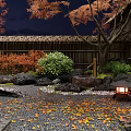 Night Courtyard Garden with Red Maple Trees Bamboo Fence Stones Lanterns Fallen Leaves Stone Paths