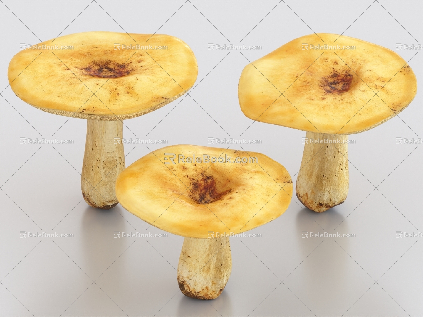 Red tooth mushroom mushroom vegetable food 3d model