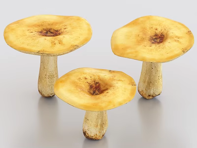 Three Fresh Yellow Mushrooms as Healthy Organic Vegetable Ingredient with Umbrella Shaped Caps 3d model