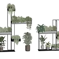 Bonsai Potted Plants on Multi Tiered Metal Frames with Various Green Hanging Plants Indoor