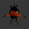 Vibrant Red Black Goldfish With Large Eyes Flowing Fins And Tail On Gray Background