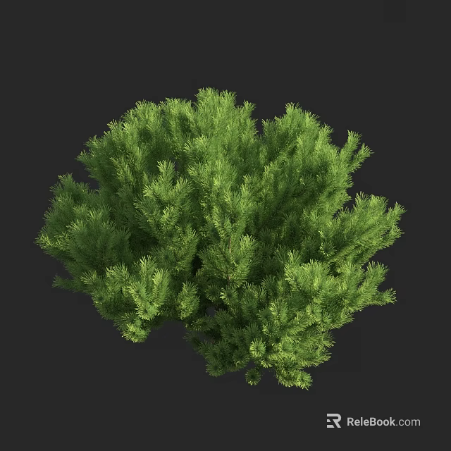 Lush Green Evergreen Arbor With Dense Foliage And Vibrant Leaf Canopy 3d model 