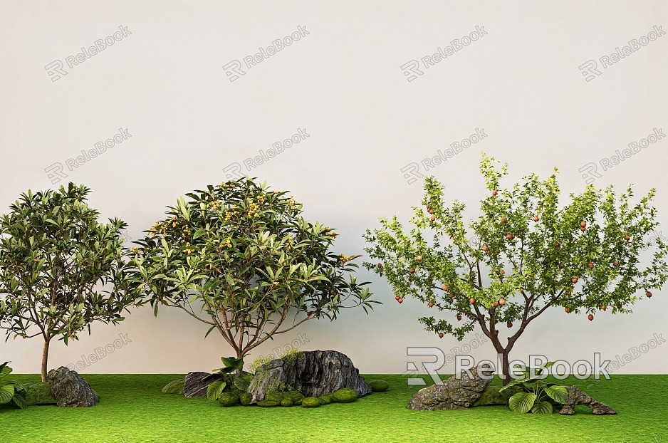 Loquat tree pomegranate tree courtyard landscape tree model