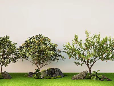 Three Green Trees In Garden With Green Grass Rocks And White Wall 3d model