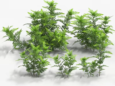 Vibrant Aquatic Creatures Moving Through Lush Green Underwater Plant Environment 3d model