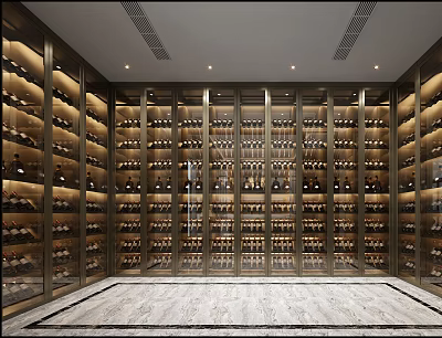 Luxurious Modern Wine Cellar Interior Design With Glass Door Racks And Marble Floor 3d model