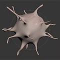 Detailed Microscopic Organ Structure With Hair Like Projections On Dark Background