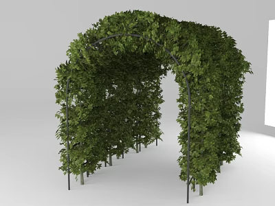 Green Vine Covered Garden Archway With Lush Leaves And Natural Design 3d model