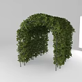 Green Vine Covered Garden Archway With Lush Leaves And Natural Design