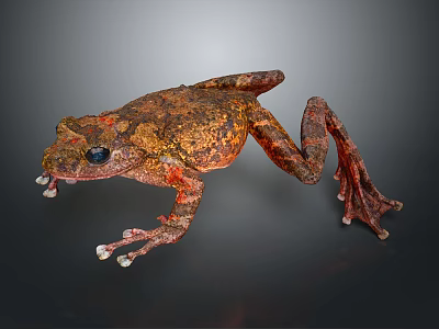 Detailed Brown And Orange Spotted Frog With Textured Skin On Dark Background 3d model