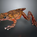 Detailed Brown And Orange Spotted Frog With Textured Skin On Dark Background