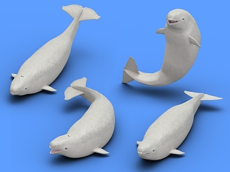 Modern dolphin beluga animal various gestures 3d model