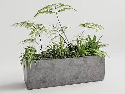 Potted Bonsai Plants in Gray Concrete Rectangular Planter with Green Ferns and Foliage 3d model