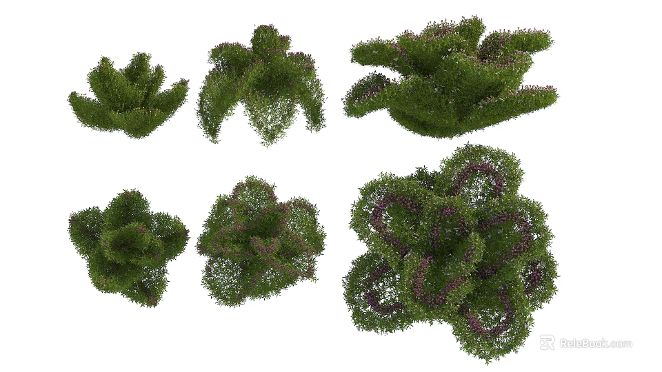 Various Lush Green Shrubs With Purple Blooms And Dense Foliage For Garden Landscaping 3d model 
