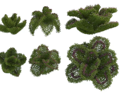 Various Lush Green Shrubs With Purple Blooms And Dense Foliage For Garden Landscaping 3d model