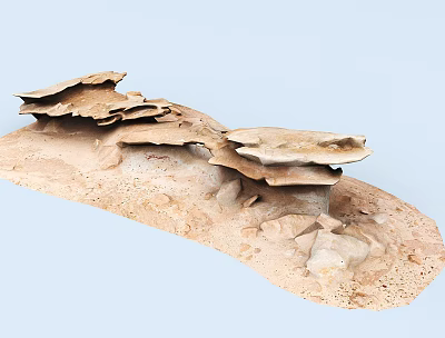 Natural Rustic Stone And Wood Decorative Piece With Mushroom Shaped Wooden Structures And Stone Base 3d model