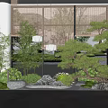 Modern Indoor Landscape with Pine Tree Bamboo Stone Lantern and Wooden Screen