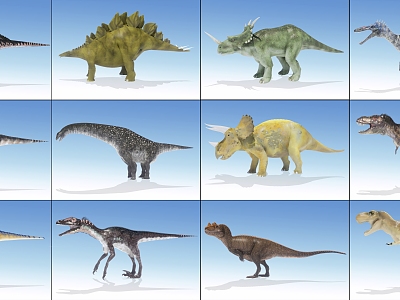 Dinosaur Exhibition Tyrannosaurus Rex Ancient Reptiles Jurassic 3d model