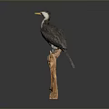 Lifelike Bird Model Perched on Wooden Branch Against Grey Background