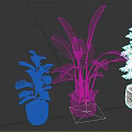 Indoor Plants with Large Leafy Small Tree Like Varieties in Patterned Woven Silver Textured Pots