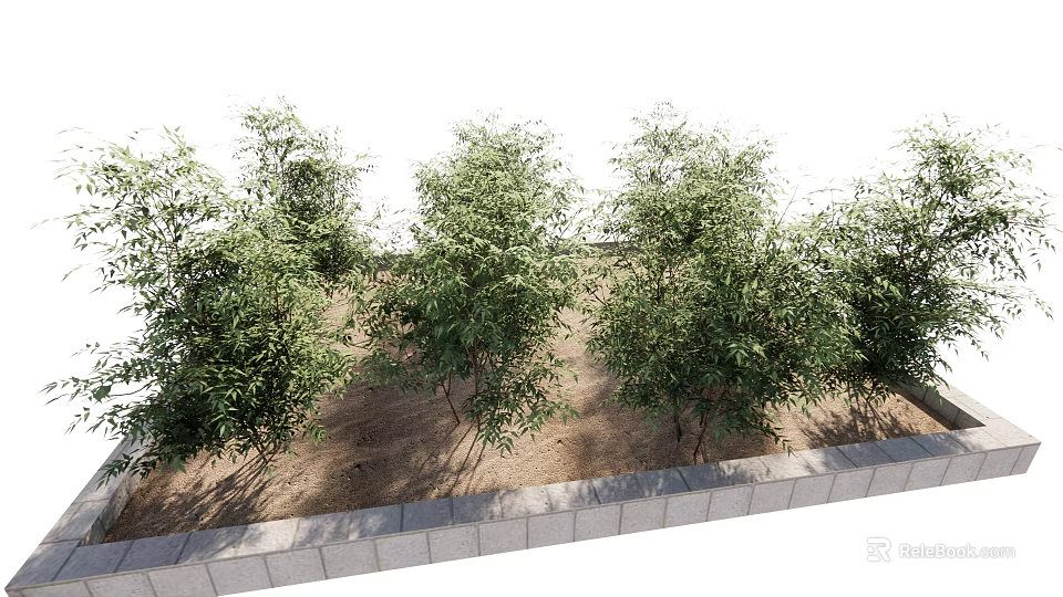 Green Bamboo Plants Growing In Soil With Stone Border And Lush Leaves 3d model 