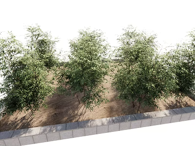 Green Bamboo Plants Growing In Soil With Stone Border And Lush Leaves 3d model