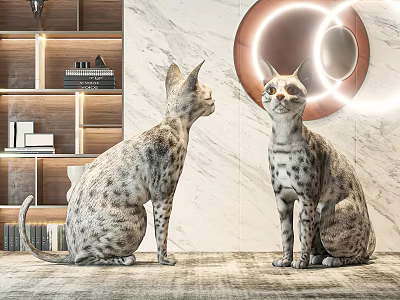 Spotted Cats Sitting On Rug Near Wooden Bookshelf With Marble Wall And Circular Halo Mirror 3d model