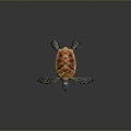 small turtle green turtle big turtle black turtle pacific turtle flat-backed turtle turtle turtle turtle turtle turtle 3d model