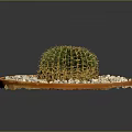Small Green Round Cactus Plant in Orange Plate with White Pebbles