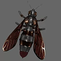 modern insect mechanical insect 3d model