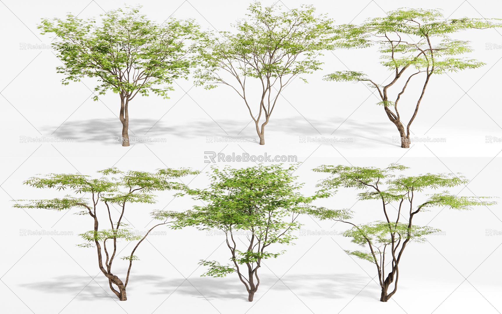 Maple Tree Landscape Tree Maple Tree 3d model