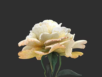 Hand Carved Flower Sculpture With White Pale Yellow Petals Green Stems Leaves 3d model