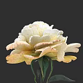 Hand Carved Flower Sculpture With White Pale Yellow Petals Green Stems Leaves