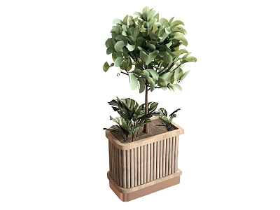 plant combination green plant tree plant box model