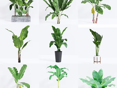 Various Potted Plants With Green Leaves And Different Style Pots For Home Decor 3d model