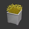 White Square Planter Box With Striped Design And Yellow Flowers