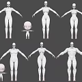 Diverse Human Body Models Featuring Adult And Child Sizes In Standing Poses