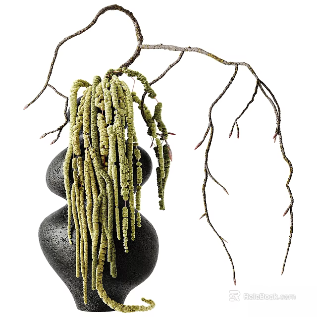 Stylish Ornamental Decor Combination With Black Stone Bases Green Plants And Natural Branches 3d model 